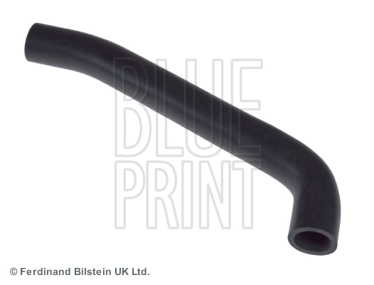 Hose, crankcase ventilation